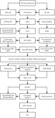 Quantitative proteomics identified a novel invasion biomarker associated with EMT in pituitary adenomas